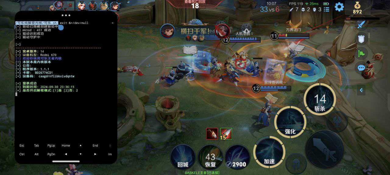 王者直装【喜洋洋】辅助