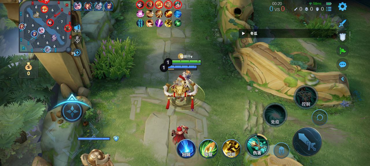 王者荣耀辅助《大熊》容器直装