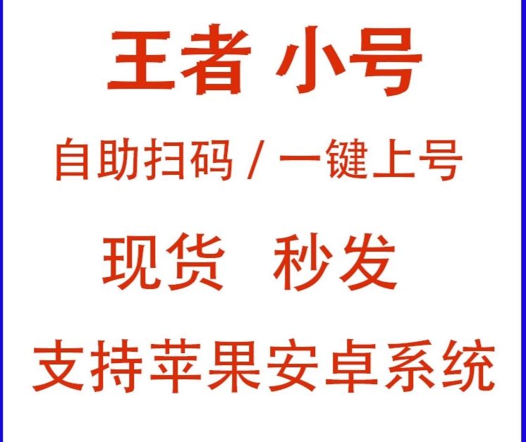 王者荣耀《美团》辅助