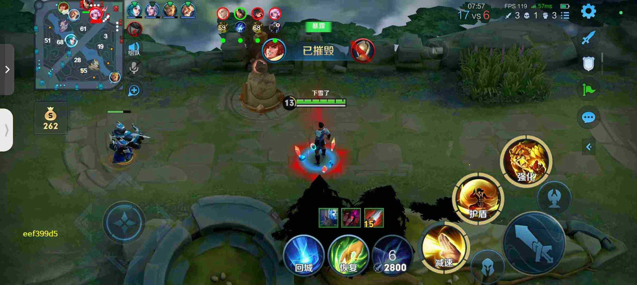 王者荣耀辅助《大熊》容器直装