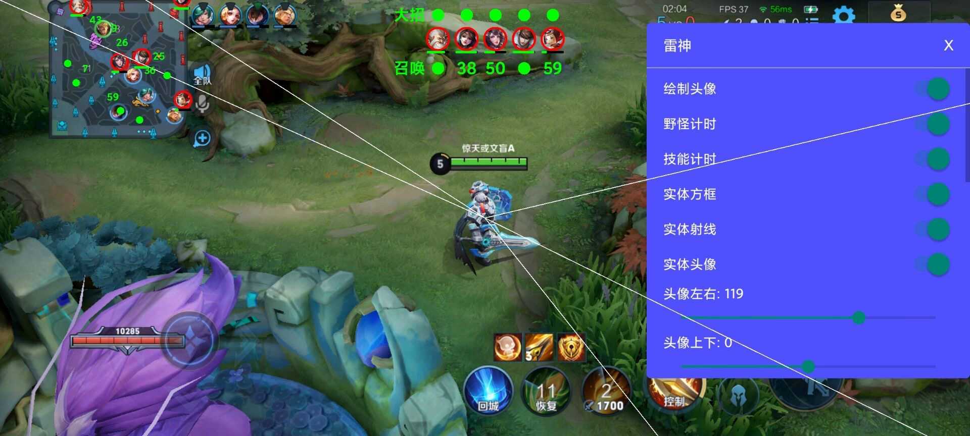 王者荣耀《九天玄鸟》外挂